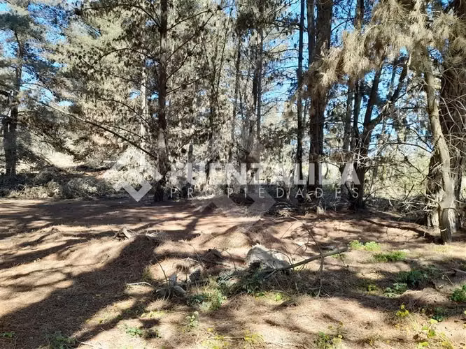 Sitio en venta en Viña del Mar