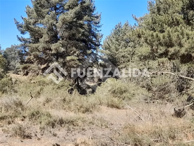 Sitio en venta en Viña del Mar