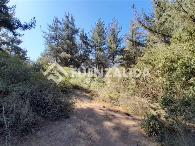 Sitio en venta en Viña del Mar