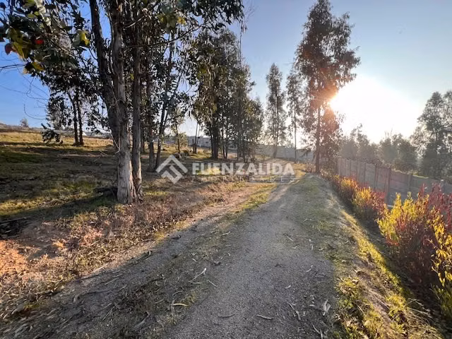 Sitio en venta en Concón