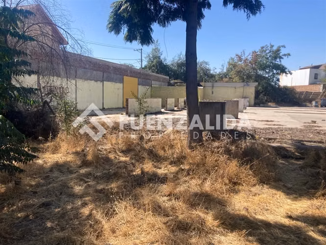 Industrial en Venta en Buín
