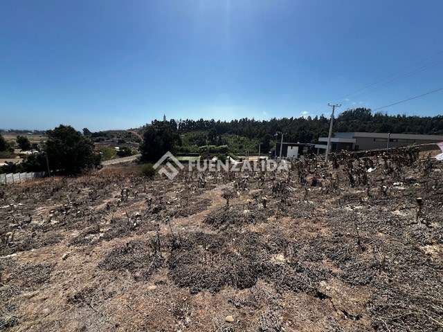 Sitio en venta en Lomas del Mauco