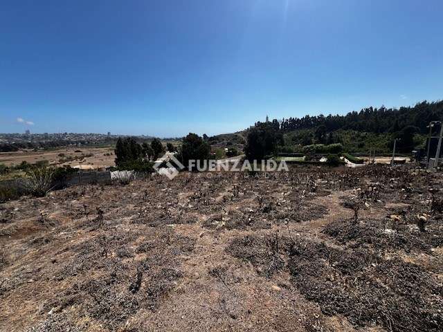 Sitio en venta en Lomas del Mauco