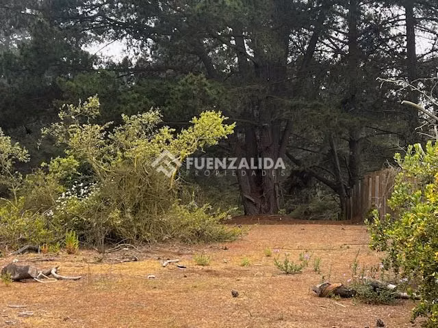 Terreno Construccion  en Venta en Viña del Mar