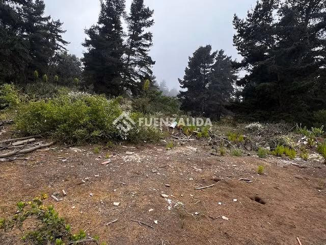 Terreno Construccion  en Venta en Viña del Mar