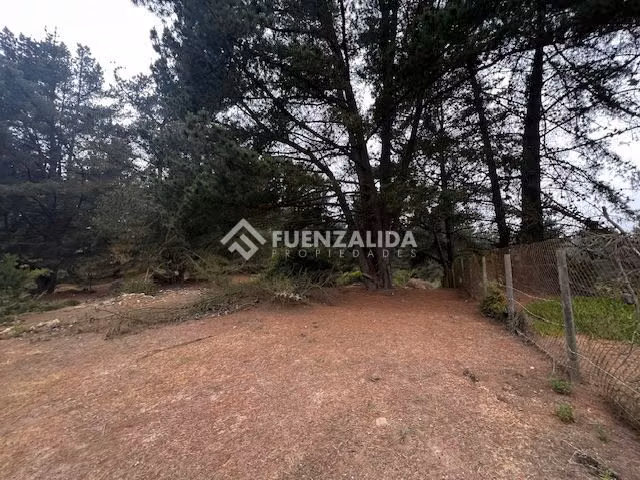 Terreno Construccion  en Venta en Viña del Mar
