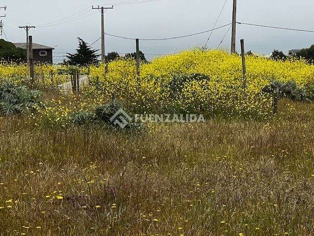 Sitio en venta en Parcela de Agrado Campus del Mar, Quintero