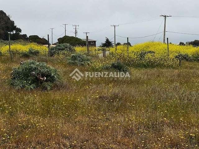 Sitio en venta en Parcela de Agrado Campus del Mar, Quintero