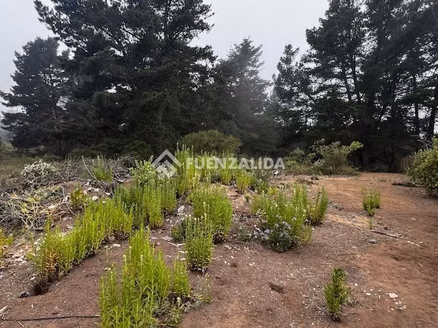 Sitio en Venta en Viña del Mar