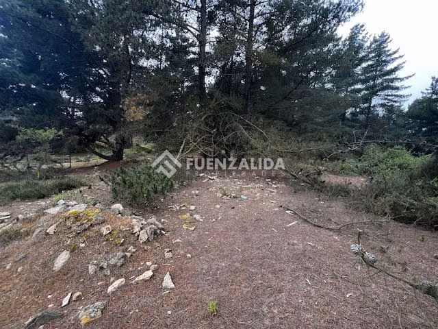 Sitio en Venta en Viña del Mar