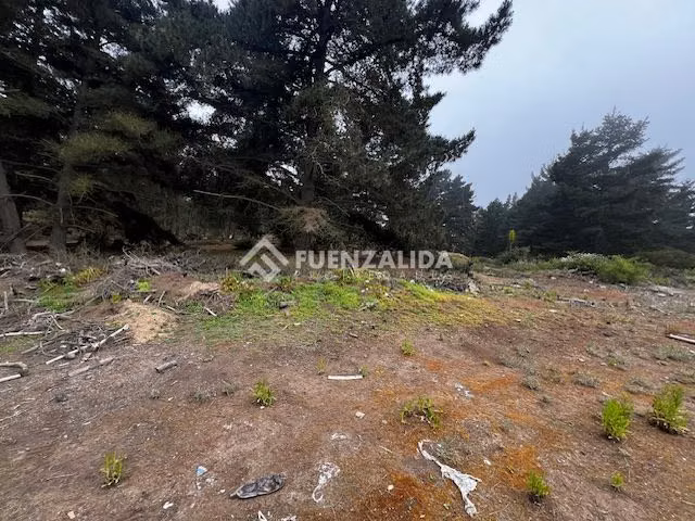 Sitio en Venta en Viña del Mar