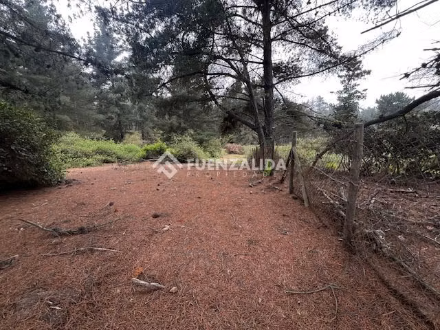 Sitio en Venta en Viña del Mar