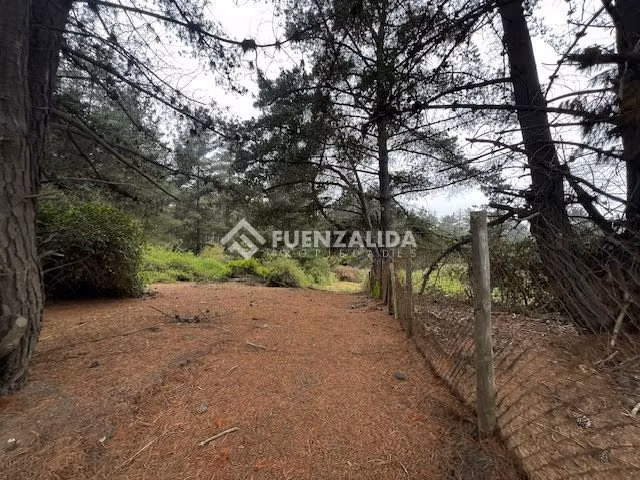 Sitio en Venta en Viña del Mar