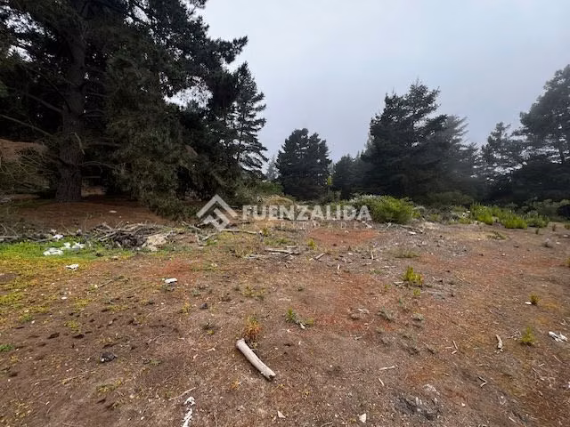 Sitio en Venta en Viña del Mar