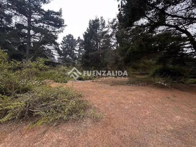 Sitio en Venta en Viña del Mar