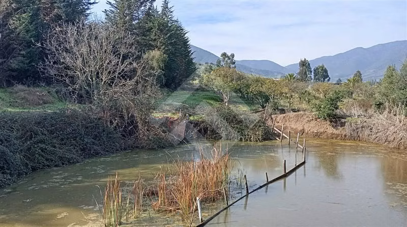 Sitio- en venta en Puchuncaví