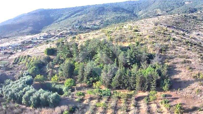 Parcela en venta en Puchuncaví