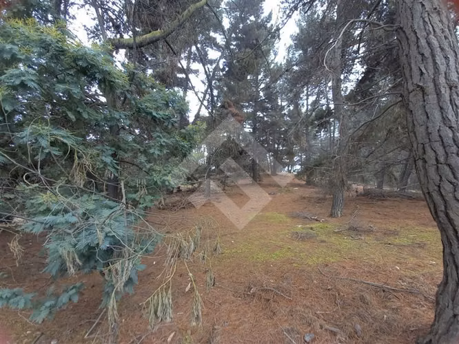 Sitio en venta en Viña del Mar