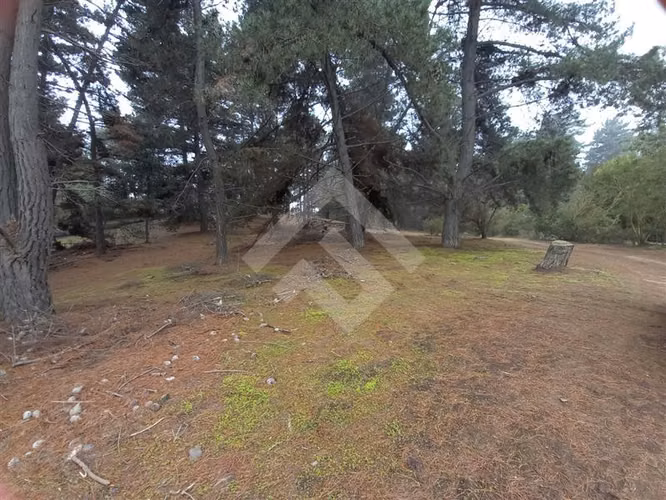 Sitio en venta en Viña del Mar
