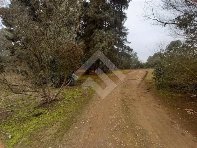 Sitio en venta en Viña del Mar