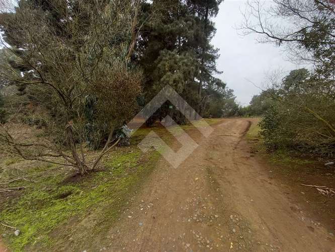Parcela en venta en Viña del Mar - Imagen 2