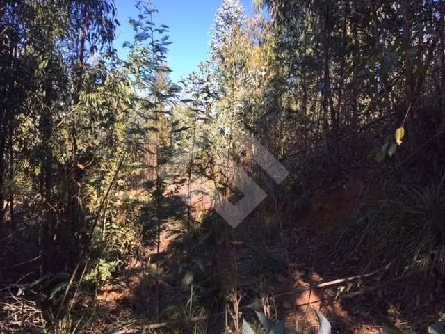 Sitio Industrial en venta Camino La Pólvora, Valparaíso