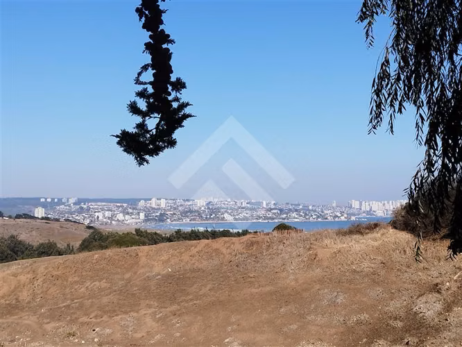Local Comercial en Venta en Quintero