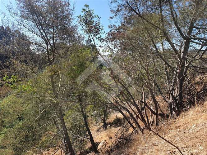 Sitio en Venta en Viña del Mar - Imagen 4