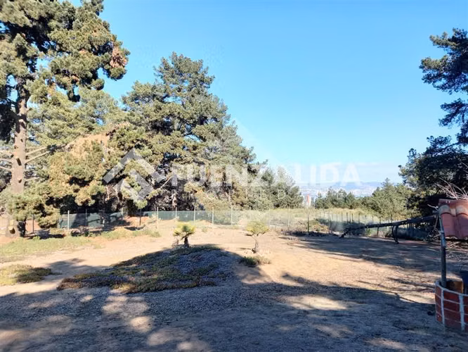 Sitio en venta Los Pinos - Reñaca