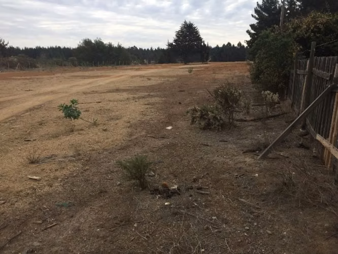 Industrial en Arriendo en Viña del Mar