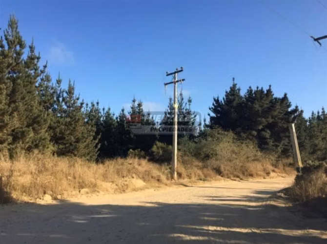Industrial en Arriendo en Viña del Mar
