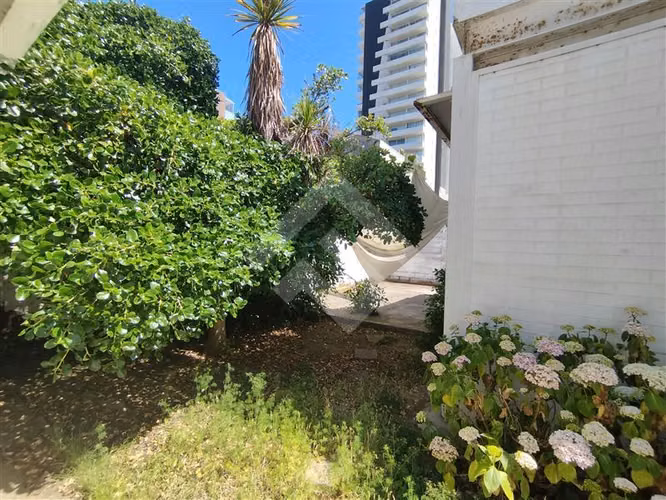 Local Comercial en arriendo Av Libertad, Viña del Mar