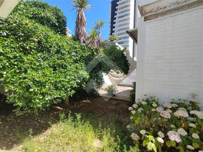 Local Comercial en arriendo Av Libertad, Viña del Mar - Imagen 25