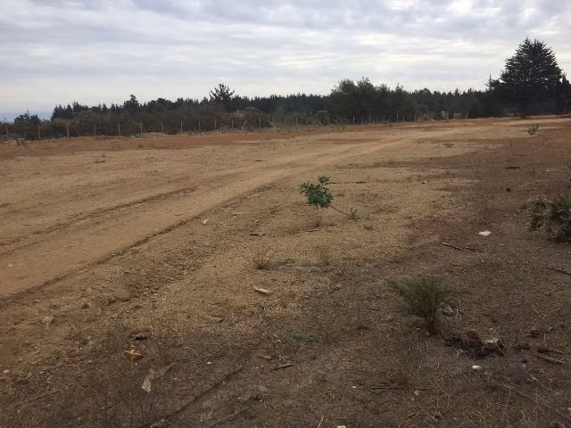 Parcela en Arriendo en Viña del Mar