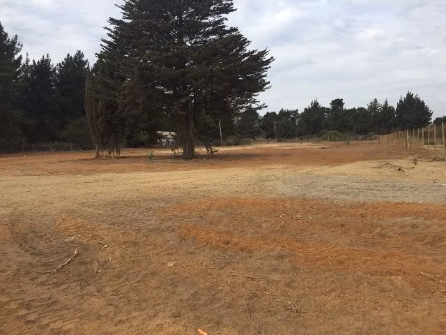 Industrial en Venta en Viña del Mar