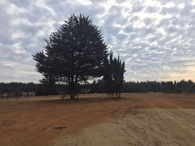 Terreno Construccion  en Arriendo en Viña del Mar