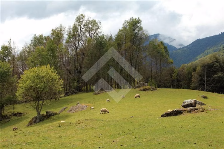 Parcela en venta en Lago Colico - Imagen 11