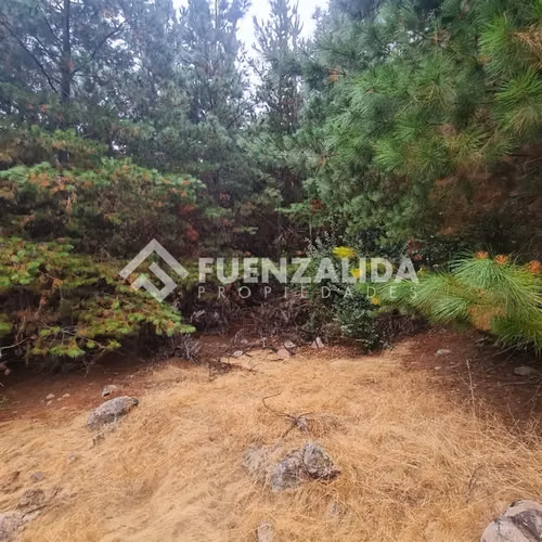 Sitio en venta en Chépica