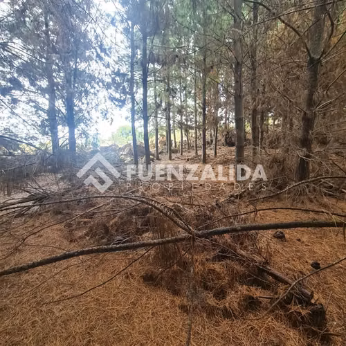 Sitio en venta en Chépica