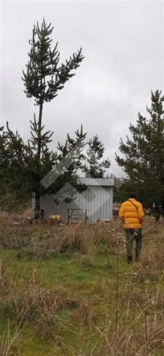 Parcela en venta en Pichilemu