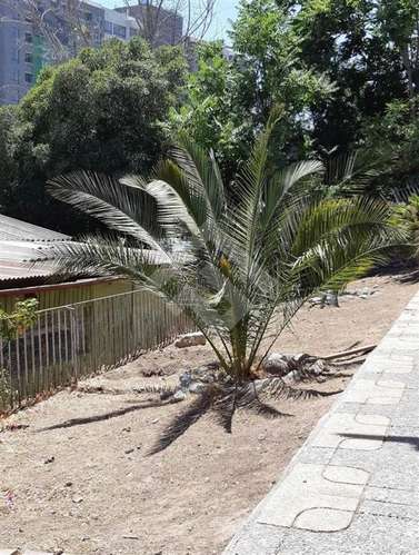 Casa en venta en Maipú - Imagen 24