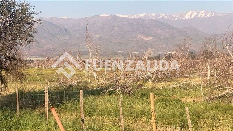 Venta Parcela Colina Sta Teresa y Colorado Los Nogales II