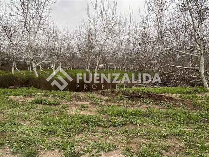 Venta Parcela Colina Sta Teresa y Colorado Los Nogales II - Imagen 7