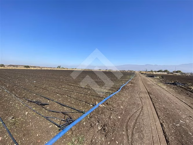 Venta Sitio Lampa Panamericana Norte 11 Hectáreas