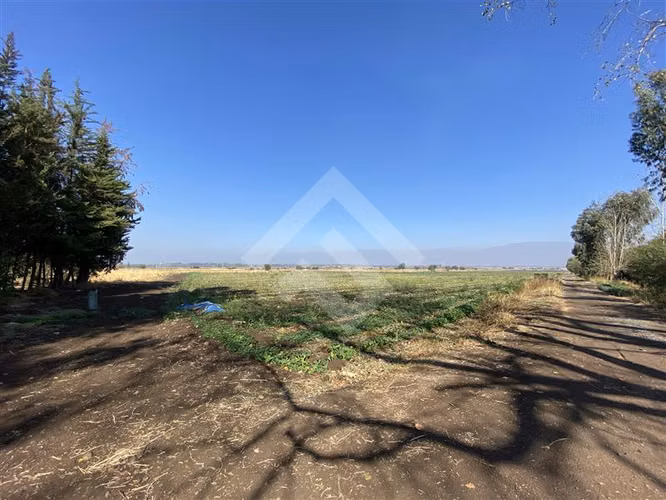 Venta Sitio Lampa Panamericana Norte 11 Hectáreas