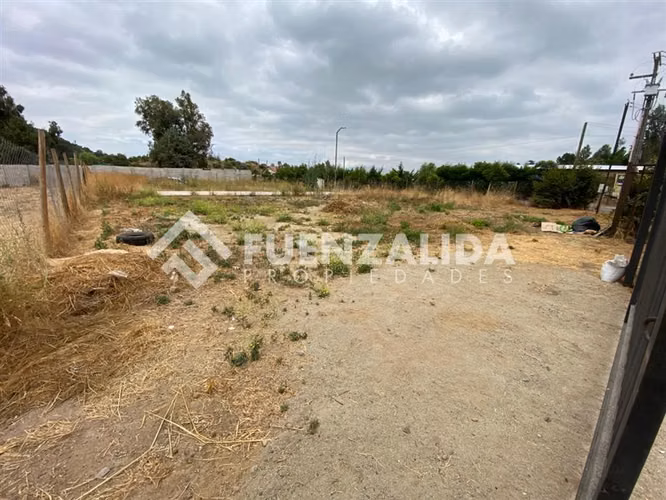 Sitio en Arriendo en Talagante