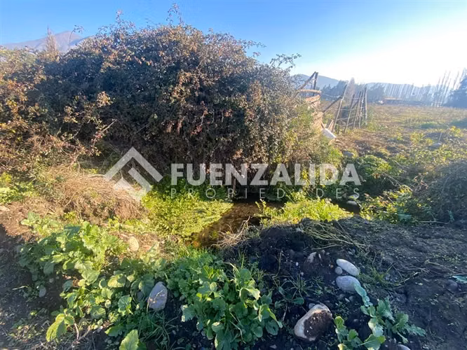 PARCELA EN VENTA ISLA DE MAIPO 3 HA CERT. ORGÁNICA MAQUIS