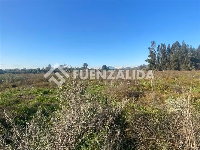 PARCELA EN VENTA ISLA DE MAIPO 3 HA CERT. ORGÁNICA MAQUIS