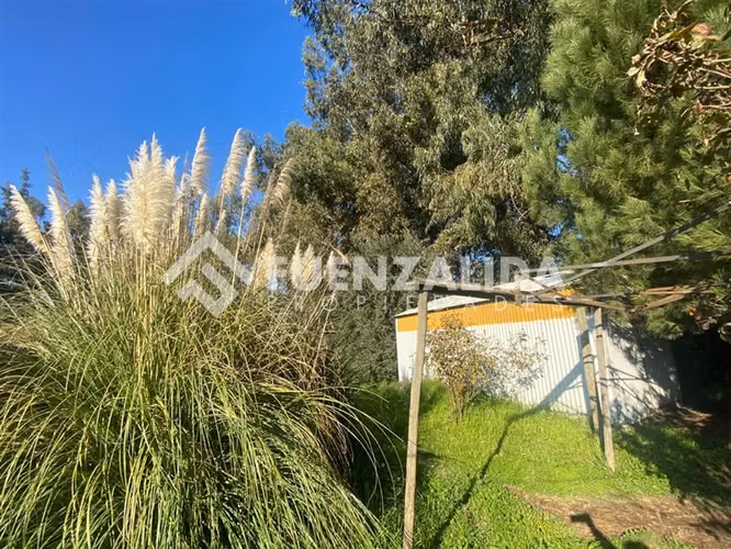 PARCELA EN VENTA ISLA DE MAIPO 3 HA CERT. ORGÁNICA MAQUIS