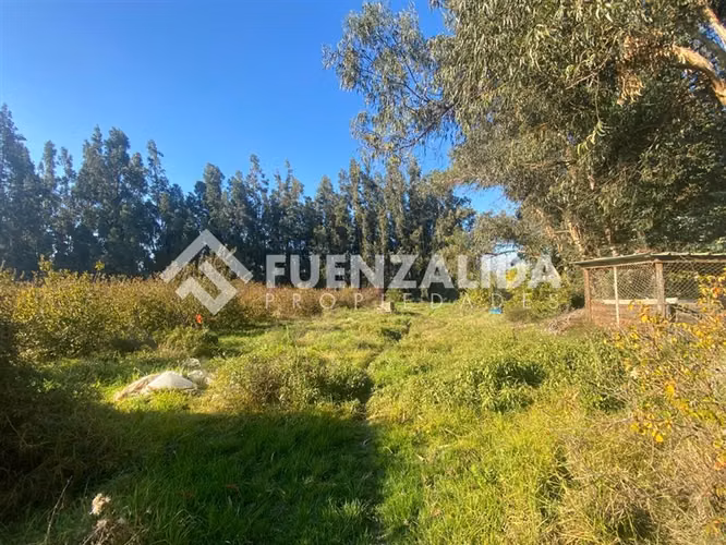 PARCELA EN VENTA ISLA DE MAIPO 3 HA CERT. ORGÁNICA MAQUIS